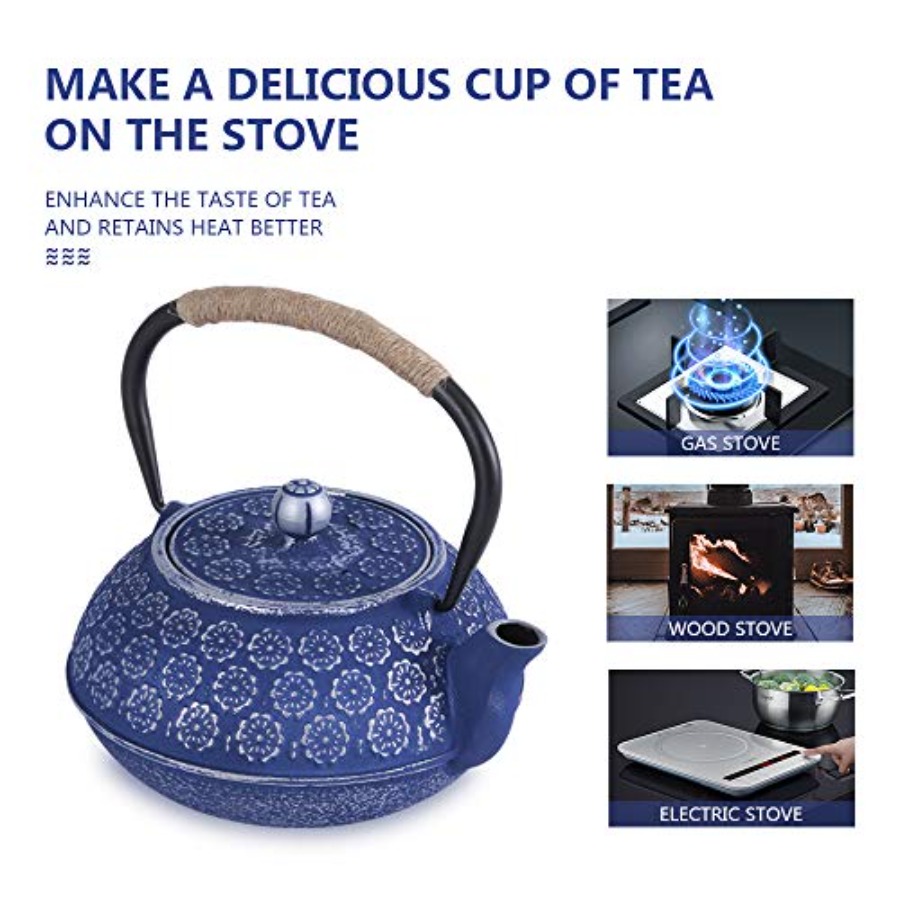 Cast Iron Teapot Set Japanese  - Cast Iron Tetsubin avis et prix