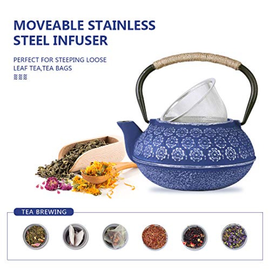 Cast Iron Teapot Set Japanese  - Cast Iron Tetsubin avis et prix