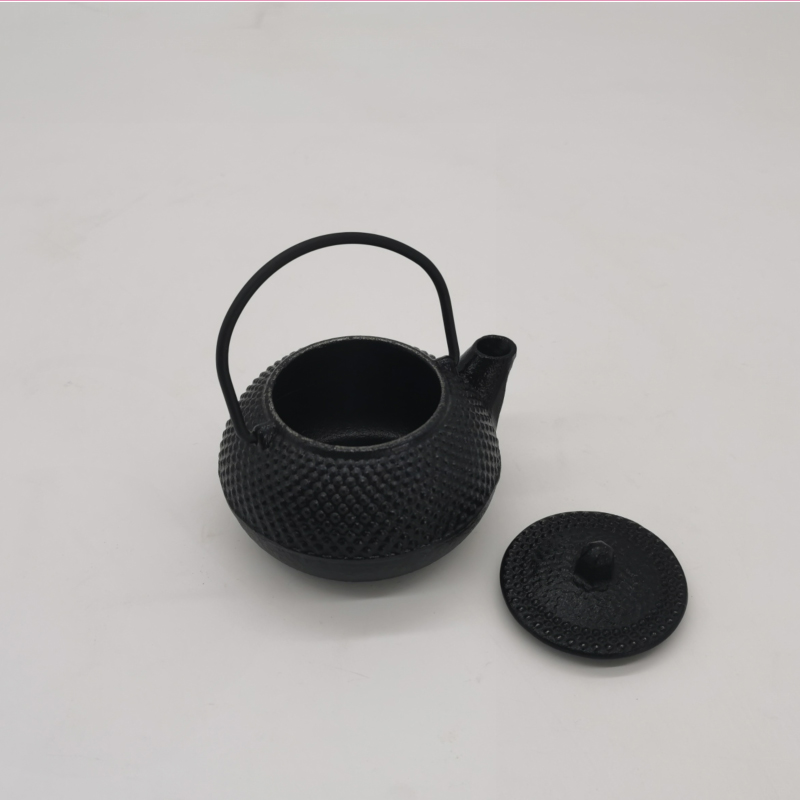 100ml Mini Japanese Tetsubin C - Cast Iron Tetsubin avis et prix