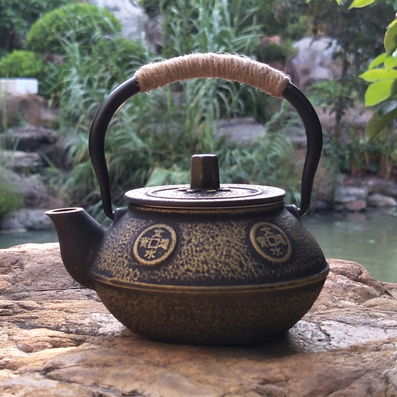 Cast Iron Teapot Japanese Tets - Cast Iron Tetsubin avis et prix