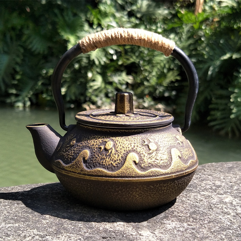 Cast Iron Teapot Japanese Tets - Cast Iron Tetsubin avis et prix