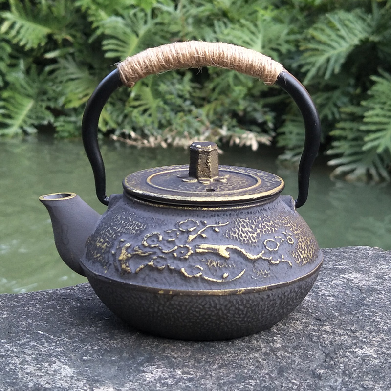 Cast Iron Teapot Japanese Tets - Cast Iron Tetsubin avis et prix