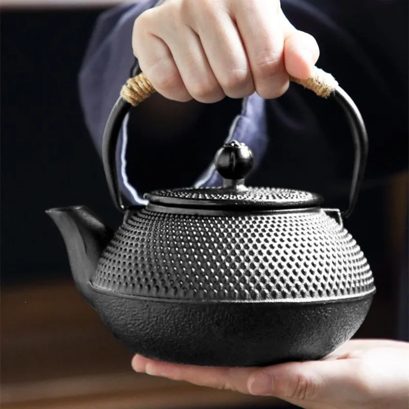 Cast Iron Teapot, Water Boilin - Cast Iron Tetsubin avis et prix