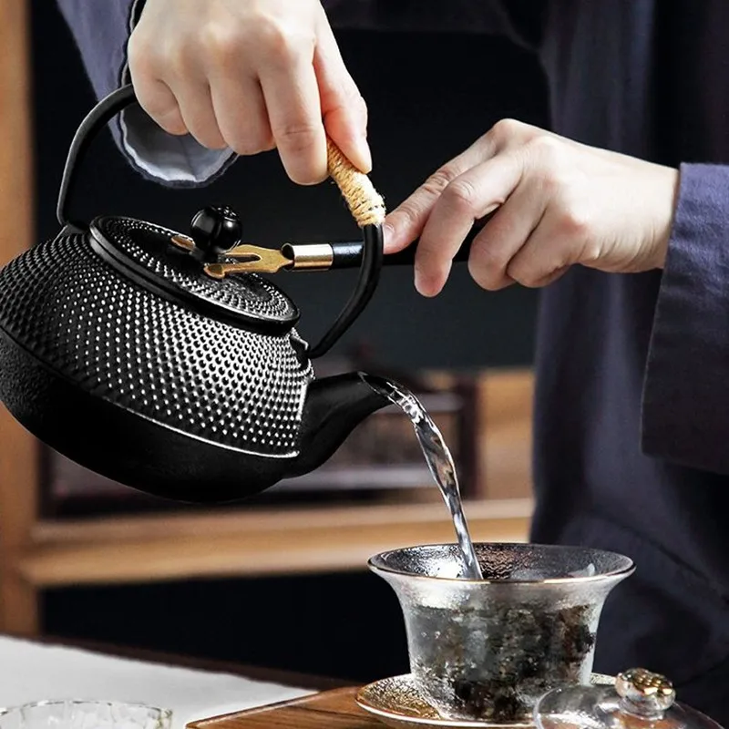 Cast Iron Teapot, Water Boilin - Cast Iron Tetsubin avis et prix